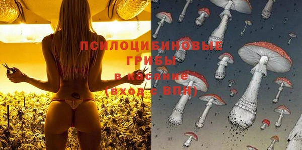 МДМА Кодинск