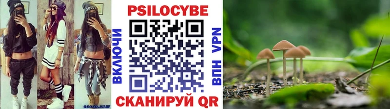 Галлюциногенные грибы Psilocybe Купить где Ермолино